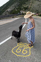 Image showing Young attractive woman wearing striped summer dress and straw hat standing on an endless straight empty road in the middle of nowhere on the Route 66 road and feeding black sheep.