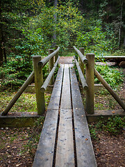 Image showing wooden nature trail 