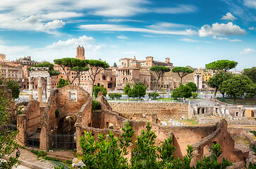 Image showing Ruins of Roman Forum