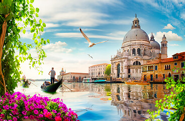 Image showing Flowers and Grand Canal