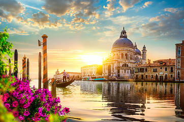 Image showing Flowers in Venice