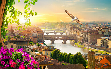 Image showing Bridges of Florence