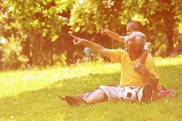 Image showing happy grandfather and child in park