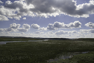 Image showing Marsh on Hardangervidda