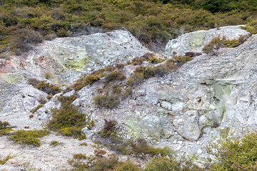 Image showing geothermal activity at Rotorua in New Zealand