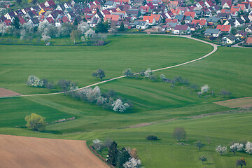 Image showing green meadow with blossoming trees and houses