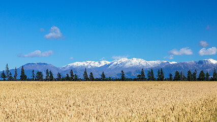 Image showing Mount Taylor and Mount Hutt scenery in south New Zealand