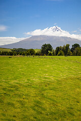 Image showing volcano Taranaki covered in clouds, New Zealand 