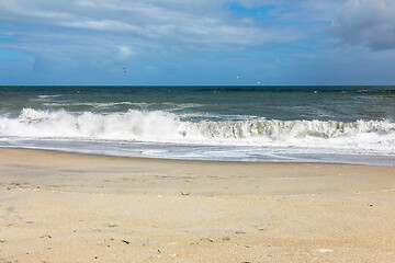 Image showing sand beach south west New Zealand