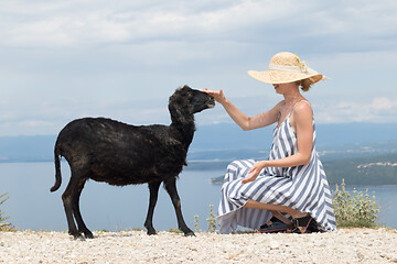 Image showing Young attractive female traveler wearing striped summer dress and straw hat squatting, feeding and petting black sheep while traveling Adriatic coast of Croatia