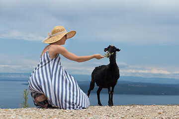 Image showing Young attractive female traveler wearing striped summer dress and straw hat squatting, feeding and petting black sheep while traveling Adriatic coast of Croatia