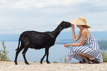 Image showing Young attractive female traveler wearing striped summer dress and straw hat squatting, feeding and petting black sheep while traveling Adriatic coast of Croatia