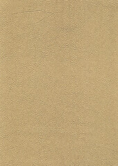 Image showing full frame leather background
