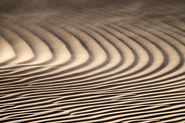 Image showing Wind blowing over sand dunes