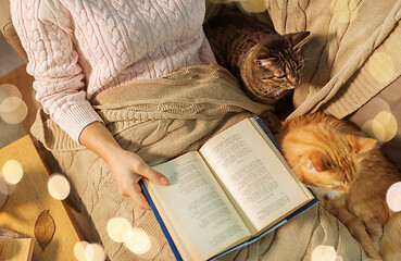 Image showing red and tabby and owner reading book at home