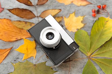 Image showing film camera and autumn leaves on gray stone