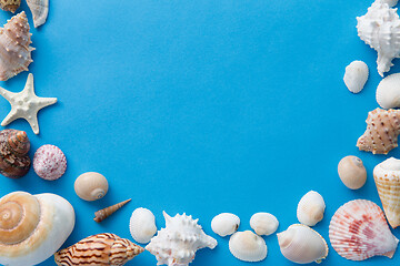 Image showing frame of different sea shells on blue background