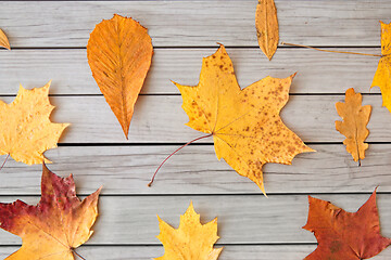 Image showing dry fallen autumn leaves on gray wooden boards