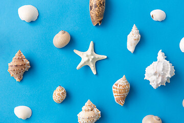 Image showing different sea shells on blue background