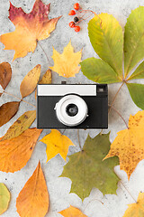 Image showing film camera and autumn leaves on gray stone