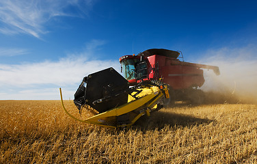 Image showing Harvesting wheat