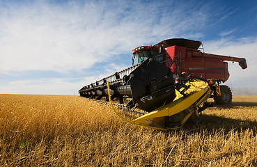 Image showing harvesting