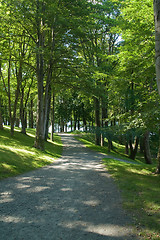 Image showing Path in the park