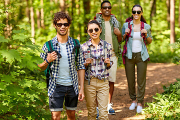 Image showing group of friends with backpacks hiking in forest