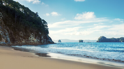 Image showing beautiful beach at Hahei New Zealand