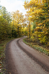 Image showing Winding gravel road in fall season colors