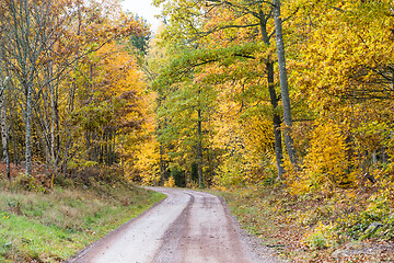 Image showing Winding road in fall colors