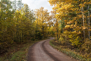 Image showing Road less travelled in fall colors