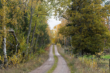 Image showing Dirt road in fall colors