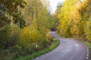 Image showing Fall season by a less travelled road