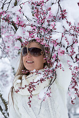 Image showing Woman by cherry blossom tree in snow