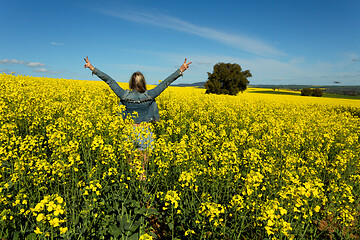 Image showing Excuted farm girl in bumper crop of canola