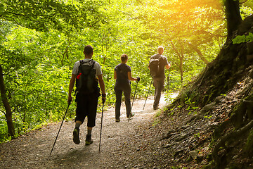 Image showing Two men and a woman walking by hiking trail