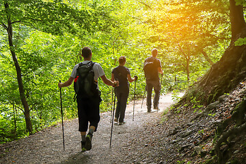 Image showing Two men and a woman walking by hiking trail