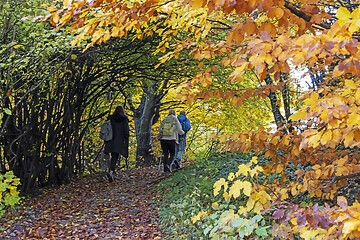 Image showing Two women and a man walk on a hiking forest trail colored with a