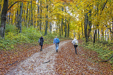 Image showing Two women and a man walk on a hiking forest trail colored with a