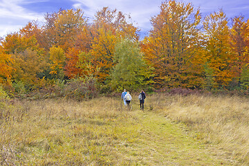 Image showing Two women and a man walk on a hiking forest trail colored with a