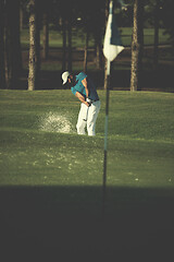 Image showing pro golfer hitting a sand bunker shot