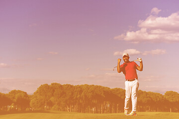 Image showing golf player hitting long shot