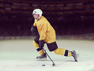 Image showing ice hockey player in action