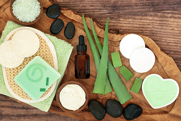 Image showing Skincare Beauty Treatment with Aloe Vera 