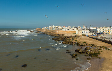 Image showing Seagulls over Essaouira old city, Morocco