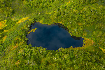 Image showing Aerial top view of blue lake In north forest