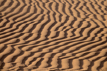 Image showing Background of sand dunes