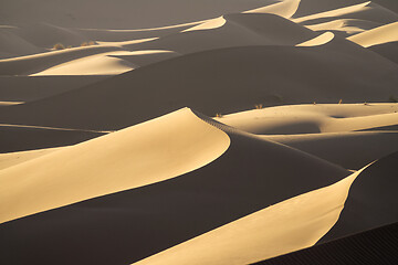 Image showing Background with sandy dunes in desert