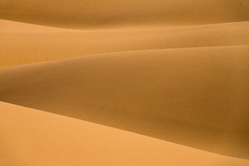 Image showing Background with of sandy dunes in desert